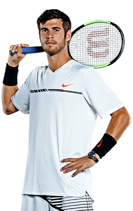 坦福桥的守 坦福桥的守