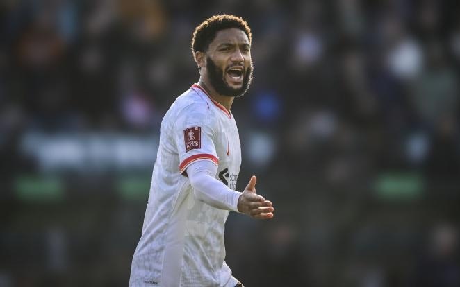 杯的球员 杯的球员